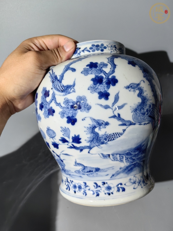 古玩陶瓷青花罐真品鑒賞圖