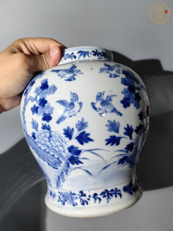 古玩陶瓷青花罐真品鑒賞圖