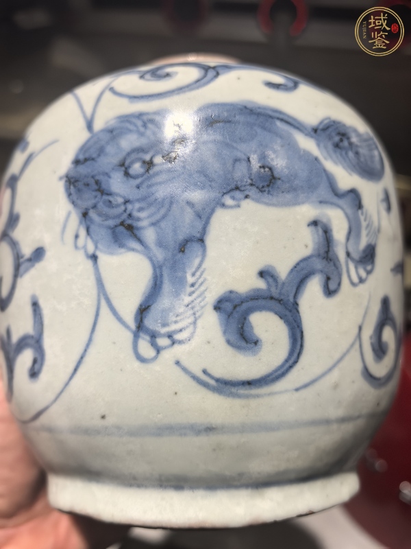 古玩陶瓷青花獅子紋蓋罐真品鑒賞圖