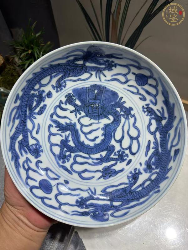 古玩陶瓷青花正面龍紋賞盤真品鑒賞圖