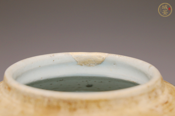 古玩陶瓷清中期·青花吹藍(lán)釉云龍七現(xiàn)紋罐真品鑒賞圖