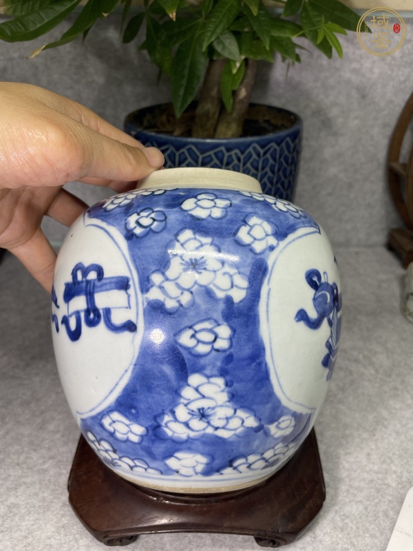 古玩陶瓷青花冰梅開光博古圖罐真品鑒賞圖