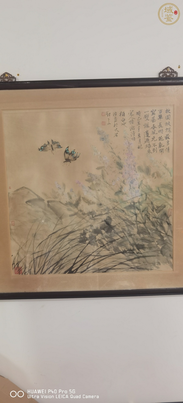 古玩字畫柳鳥蛺蝶真品鑒賞圖