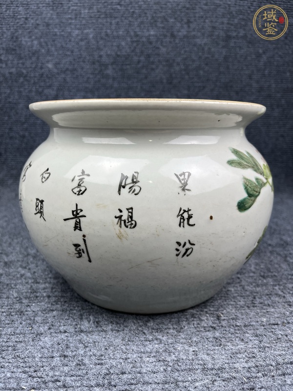 古玩陶瓷淺降花鳥紋缸真品鑒賞圖