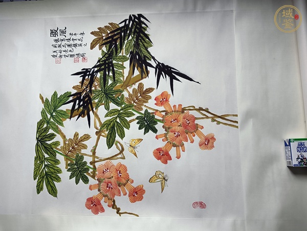 古玩字畫金鴻鈞花鳥真品鑒賞圖