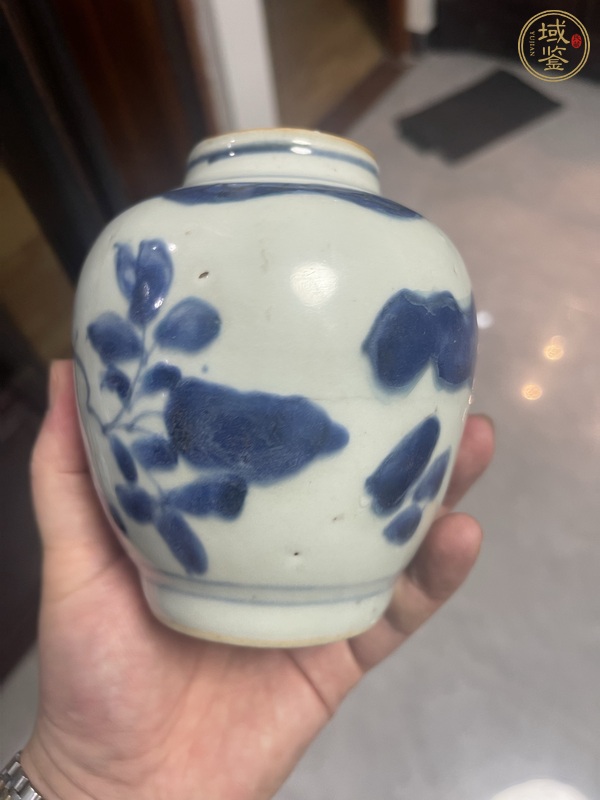 古玩陶瓷青花罐真品鑒賞圖