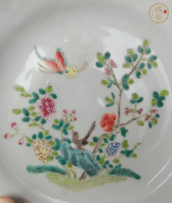 古玩陶瓷粉彩花鳥紋折沿盤真品鑒賞圖