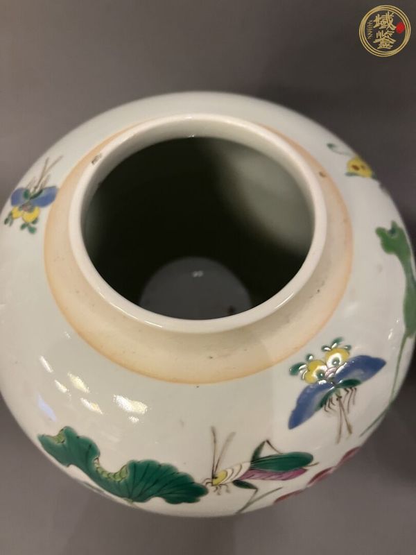 古玩陶瓷粉彩荷花罐真品鑒賞圖