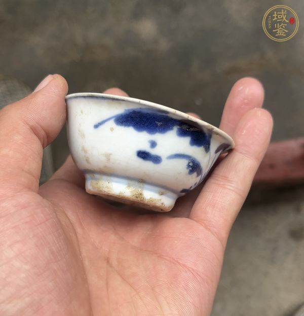 古玩陶瓷德化窯青花花卉紋杯真品鑒賞圖