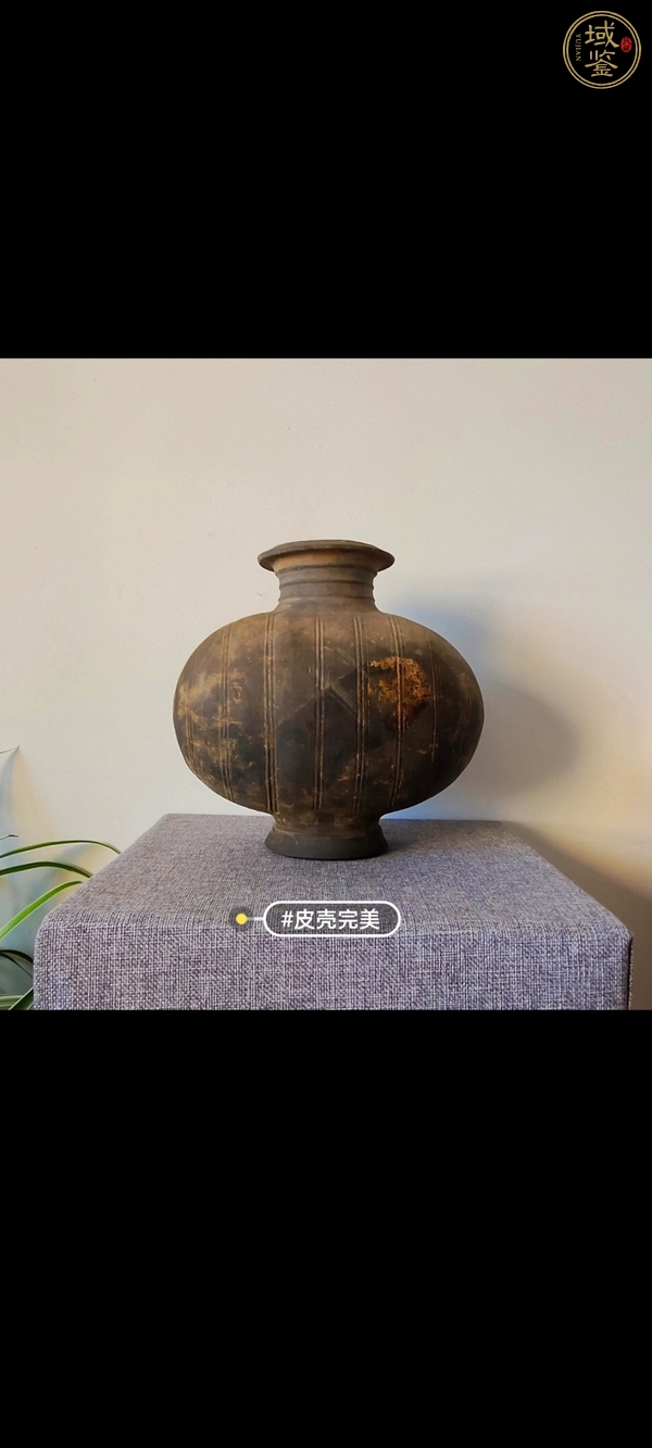 古玩陶瓷灰陶繭形壺真品鑒賞圖