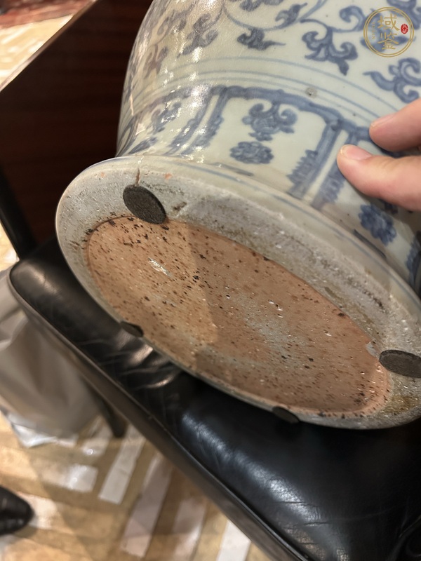 古玩陶瓷青花纏枝蓮紋罐真品鑒賞圖