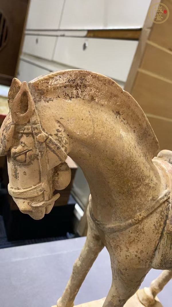 古玩陶瓷陶馬真品鑒賞圖