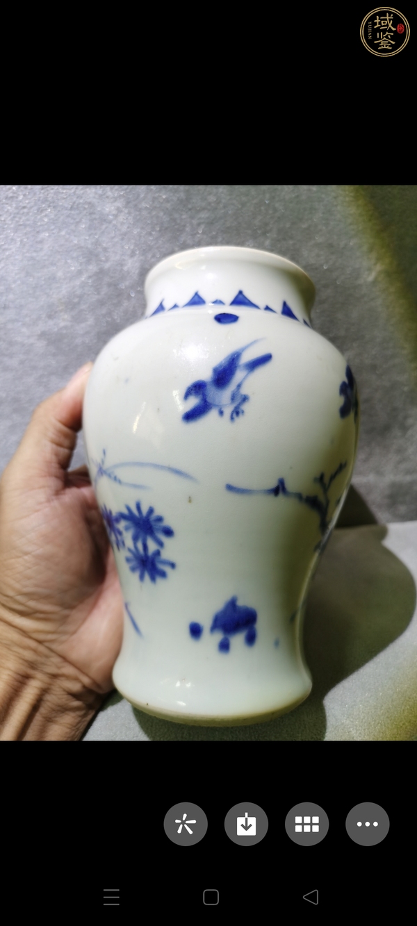 古玩陶瓷花鳥紋青花罐真品鑒賞圖