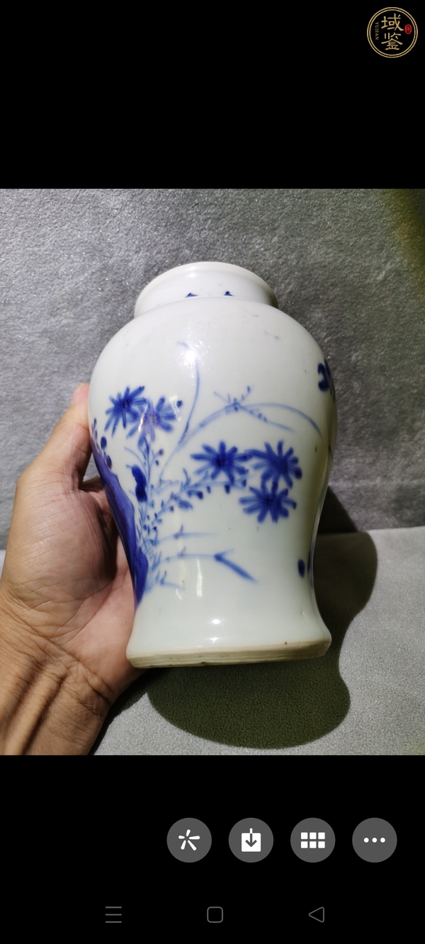 古玩陶瓷花鳥紋青花罐真品鑒賞圖