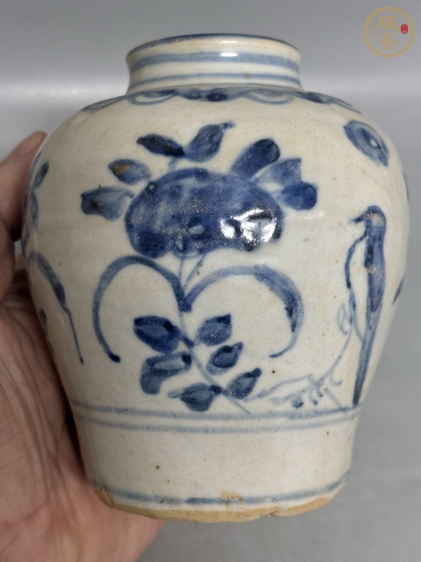 古玩陶瓷青花罐真品鑒賞圖