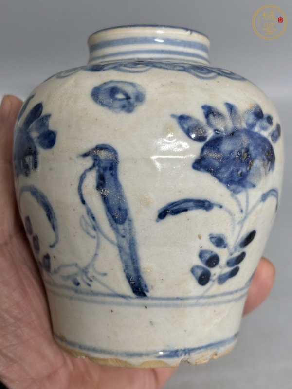 古玩陶瓷青花罐真品鑒賞圖