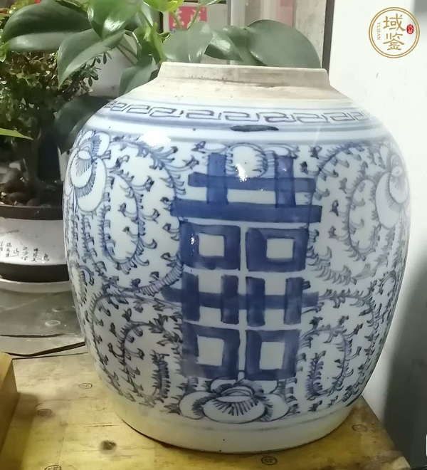 古玩陶瓷清中·青花纏枝喜字紋罐真品鑒賞圖