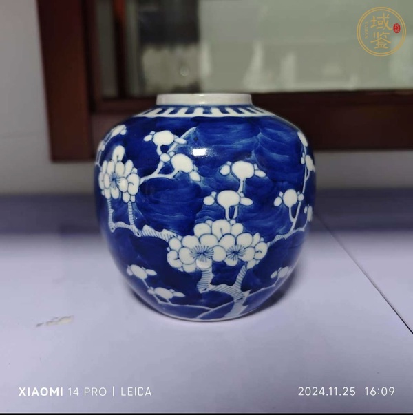 古玩陶瓷青花冰梅罐真品鑒賞圖