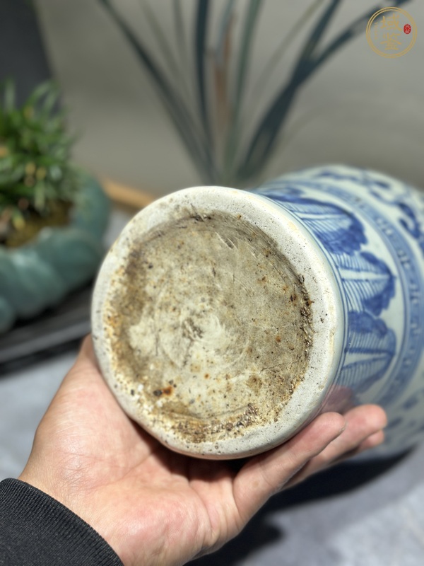 古玩陶瓷青花纏枝花卉紋梅瓶，注意品相真品鑒賞圖