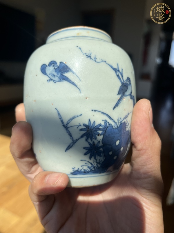 古玩陶瓷花鳥紋青花罐真品鑒賞圖