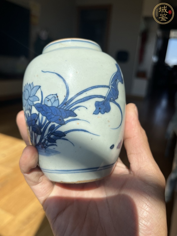 古玩陶瓷花鳥紋青花罐真品鑒賞圖