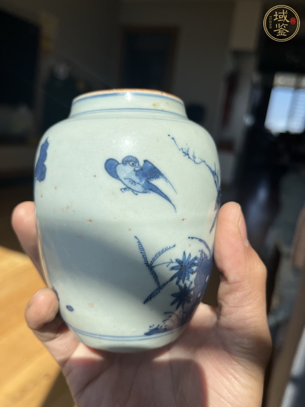 古玩陶瓷花鳥紋青花罐真品鑒賞圖