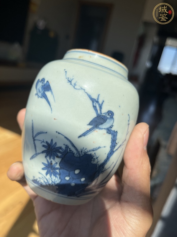 古玩陶瓷花鳥紋青花罐真品鑒賞圖