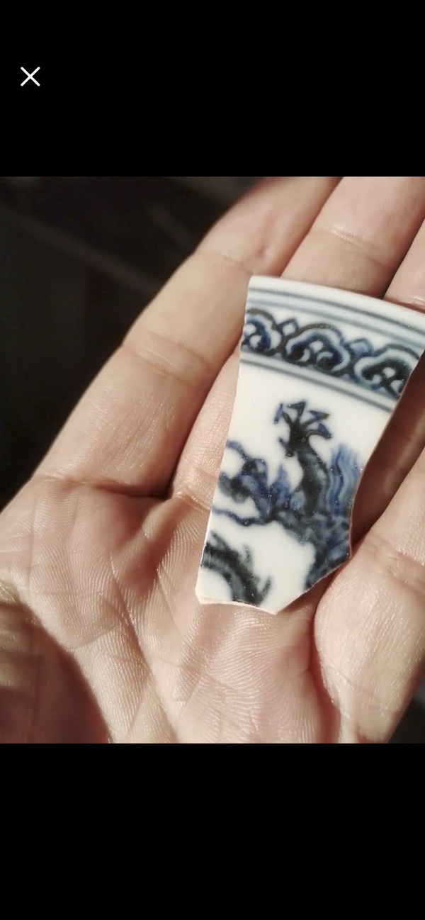 古玩轉(zhuǎn)賣明成化官窯青花龍紋標本拍賣，當前價格0元