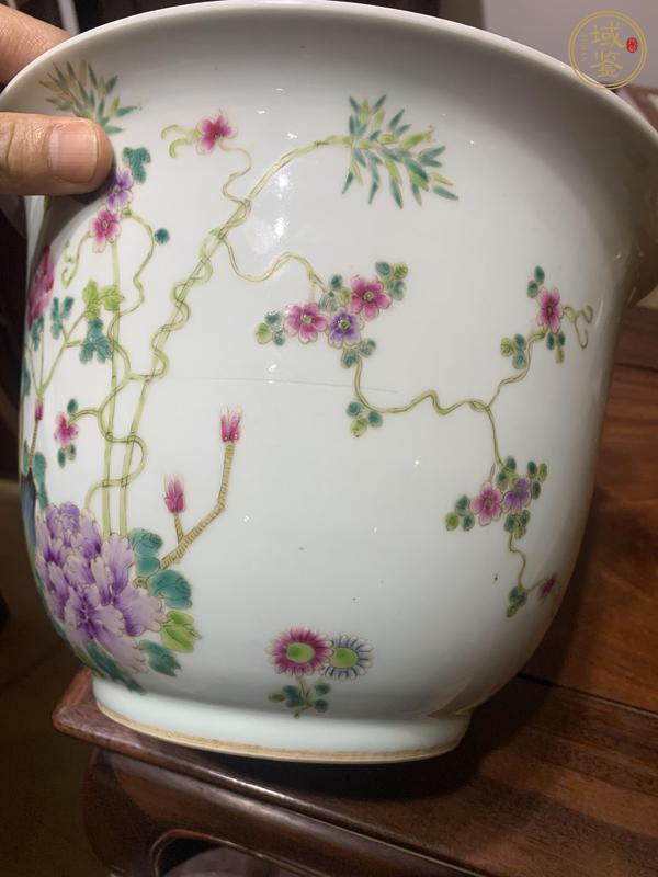 古玩陶瓷花鳥紋粉彩花盆真品鑒賞圖