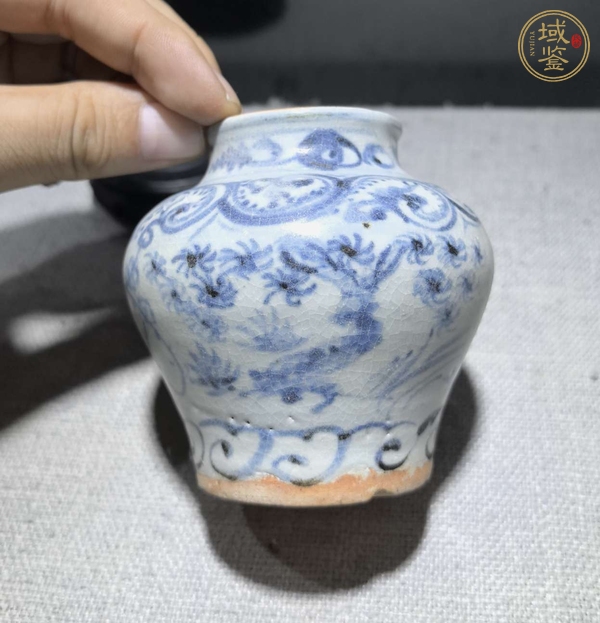 古玩陶瓷青花花鳥紋罐真品鑒賞圖