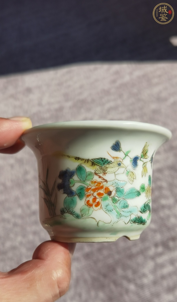 古玩陶瓷光緒五彩菖蒲盆真品鑒賞圖