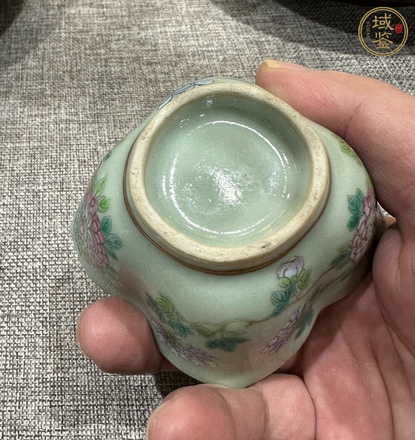 古玩陶瓷豆青釉粉彩杯真品鑒賞圖