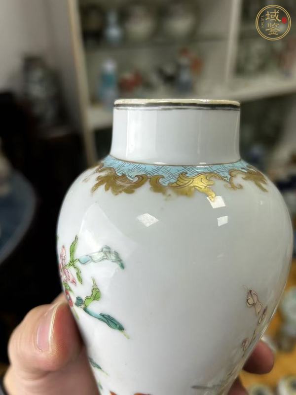 古玩陶瓷粉彩花鳥(niǎo)紋瓶真品鑒賞圖