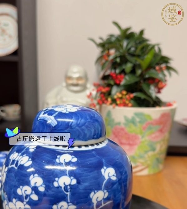 古玩陶瓷青花留白梅紋罐真品鑒賞圖