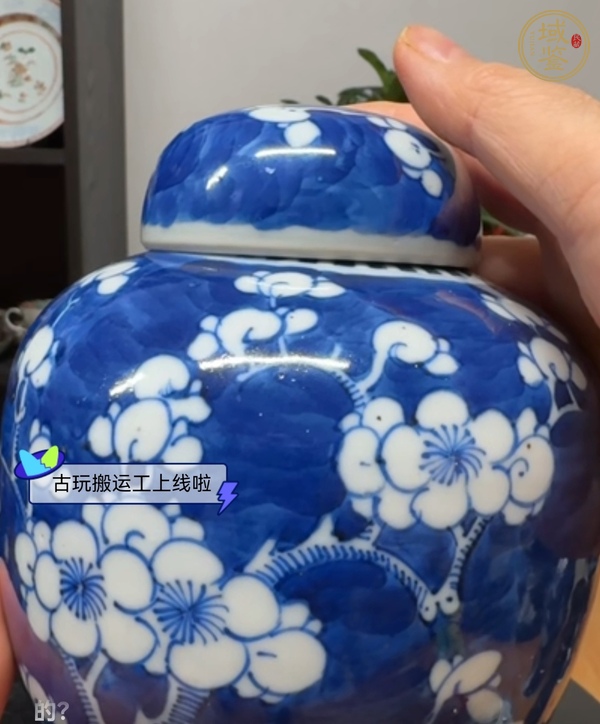 古玩陶瓷青花留白梅紋罐真品鑒賞圖