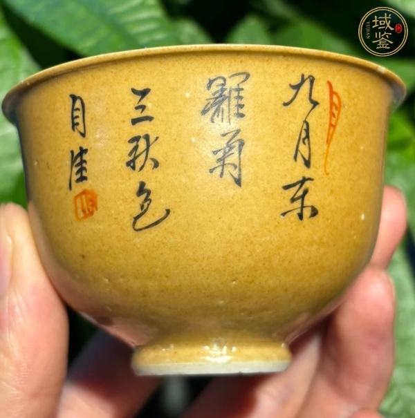 古玩陶瓷乾隆米黃釉墨彩杯真品鑒賞圖