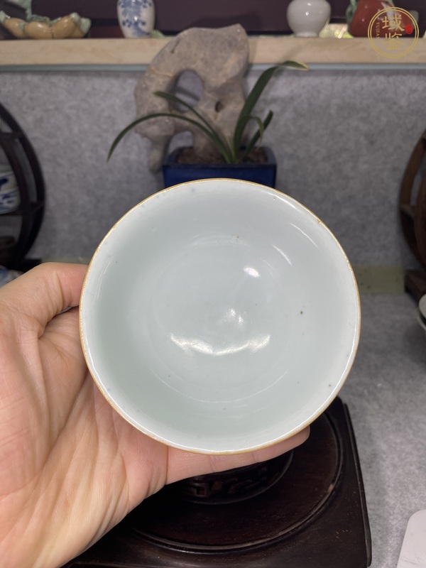 古玩陶瓷霽藍(lán)釉描金龍紋茶圓真品鑒賞圖