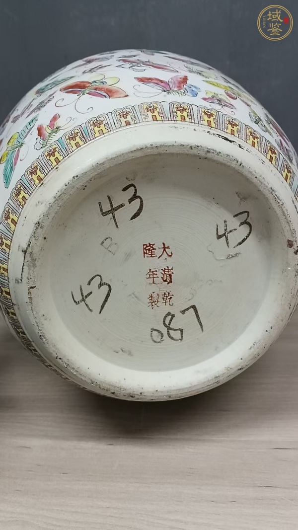 古玩陶瓷粉彩百蝶紋案缸真品鑒賞圖