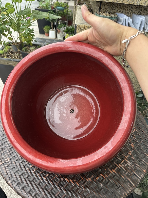 古玩陶瓷紅釉花盆拍賣(mài)，當(dāng)前價(jià)格2888元