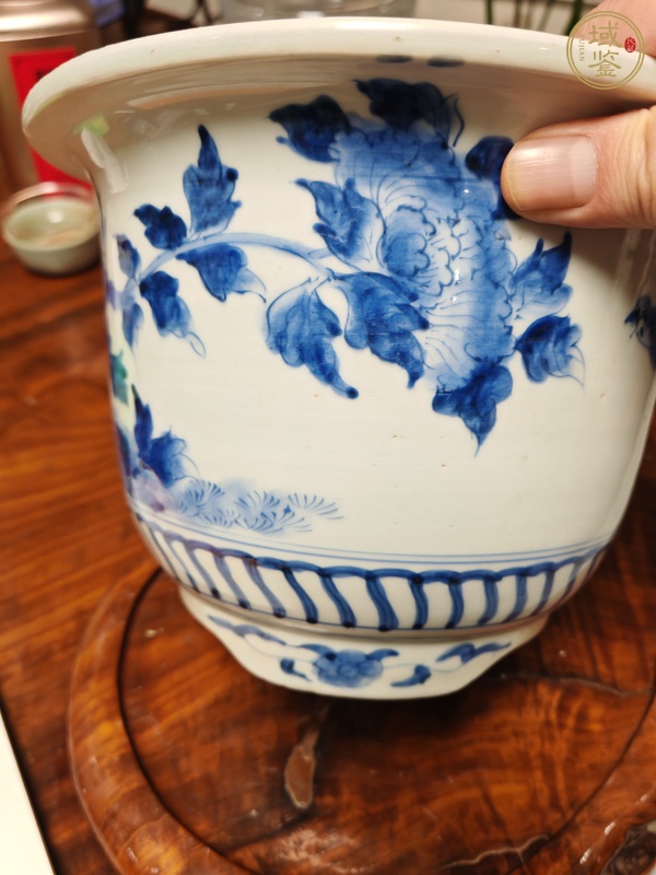 古玩陶瓷花鳥紋青花花盆真品鑒賞圖