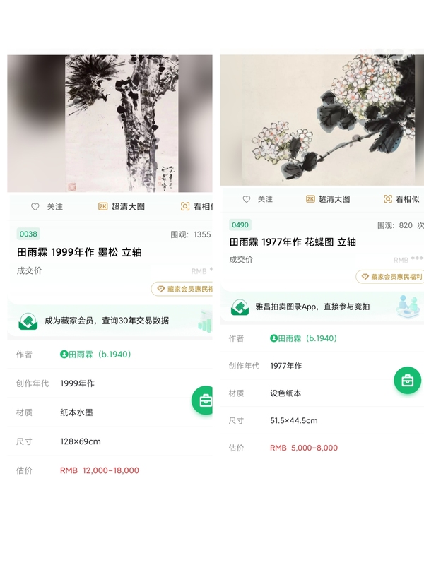 古玩字畫(huà)當(dāng)代名家 王雪濤先生入室弟子 神童畫(huà)家 田雨霖先生 白梅圖 手工原裱立軸拍賣(mài)，當(dāng)前價(jià)格2988元