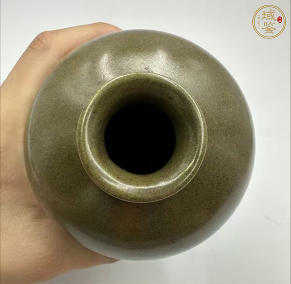 古玩陶瓷清代 茶葉末釉梅瓶真品鑒賞圖