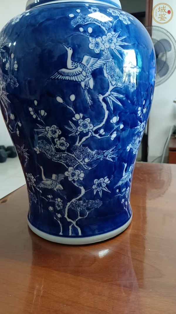 古玩陶瓷青花花鳥紋罐真品鑒賞圖