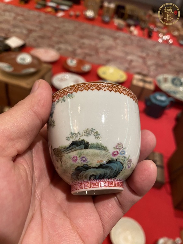 古玩陶瓷琺瑯彩杯真品鑒賞圖