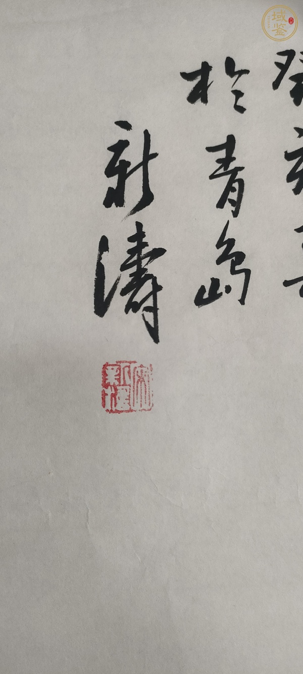 古玩字畫宋新濤花鳥真品鑒賞圖