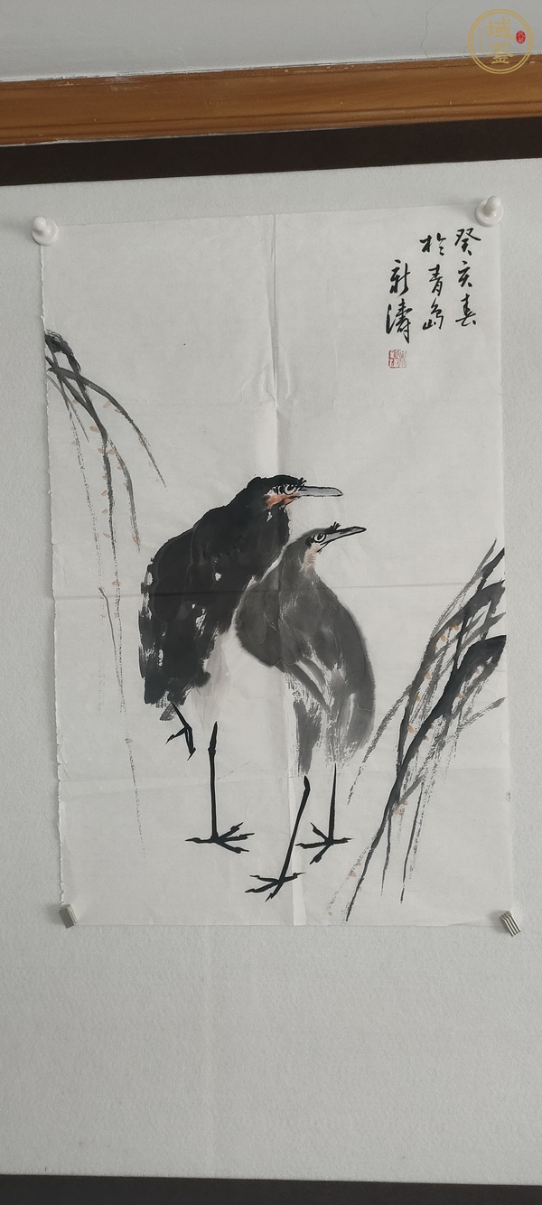 古玩字畫宋新濤花鳥真品鑒賞圖