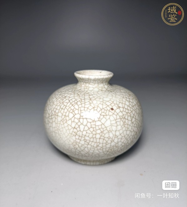 古玩陶瓷哥釉水盂真品鑒賞圖