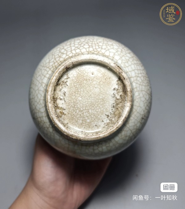 古玩陶瓷哥釉水盂真品鑒賞圖