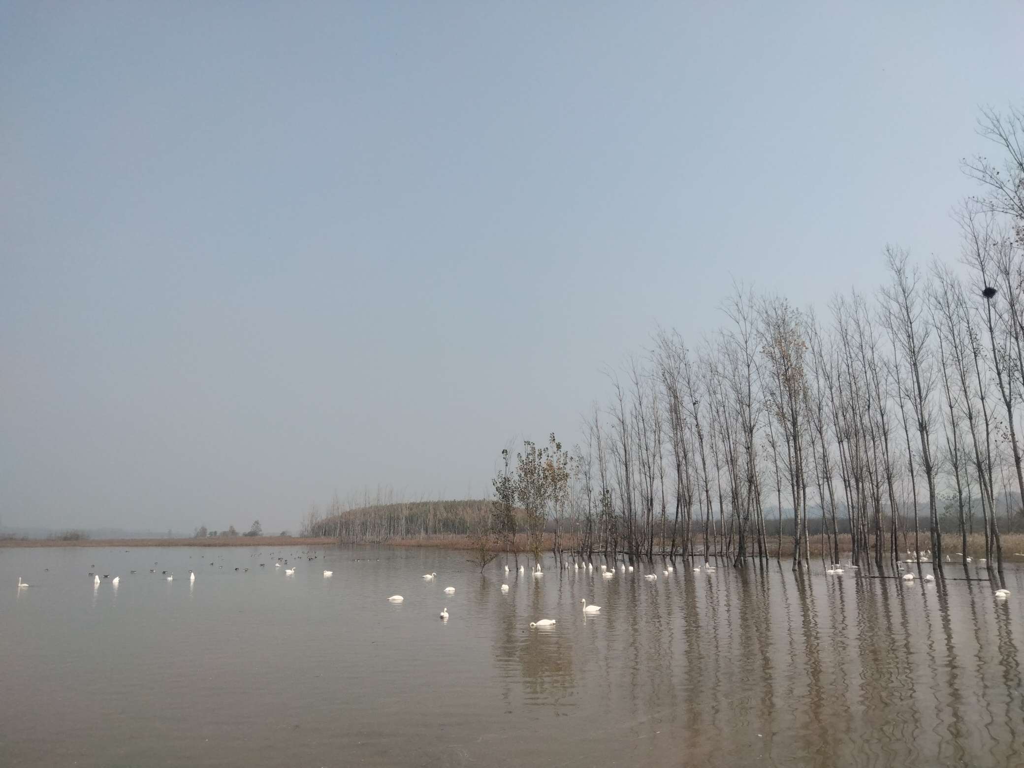 域鑒老森兒~的店鋪