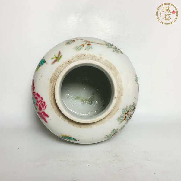 古玩陶瓷花卉紋粉彩罐真品鑒賞圖